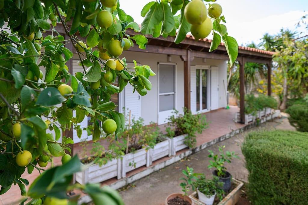 Farmbill Villa Markopoulo Mesogaias Exterior photo
